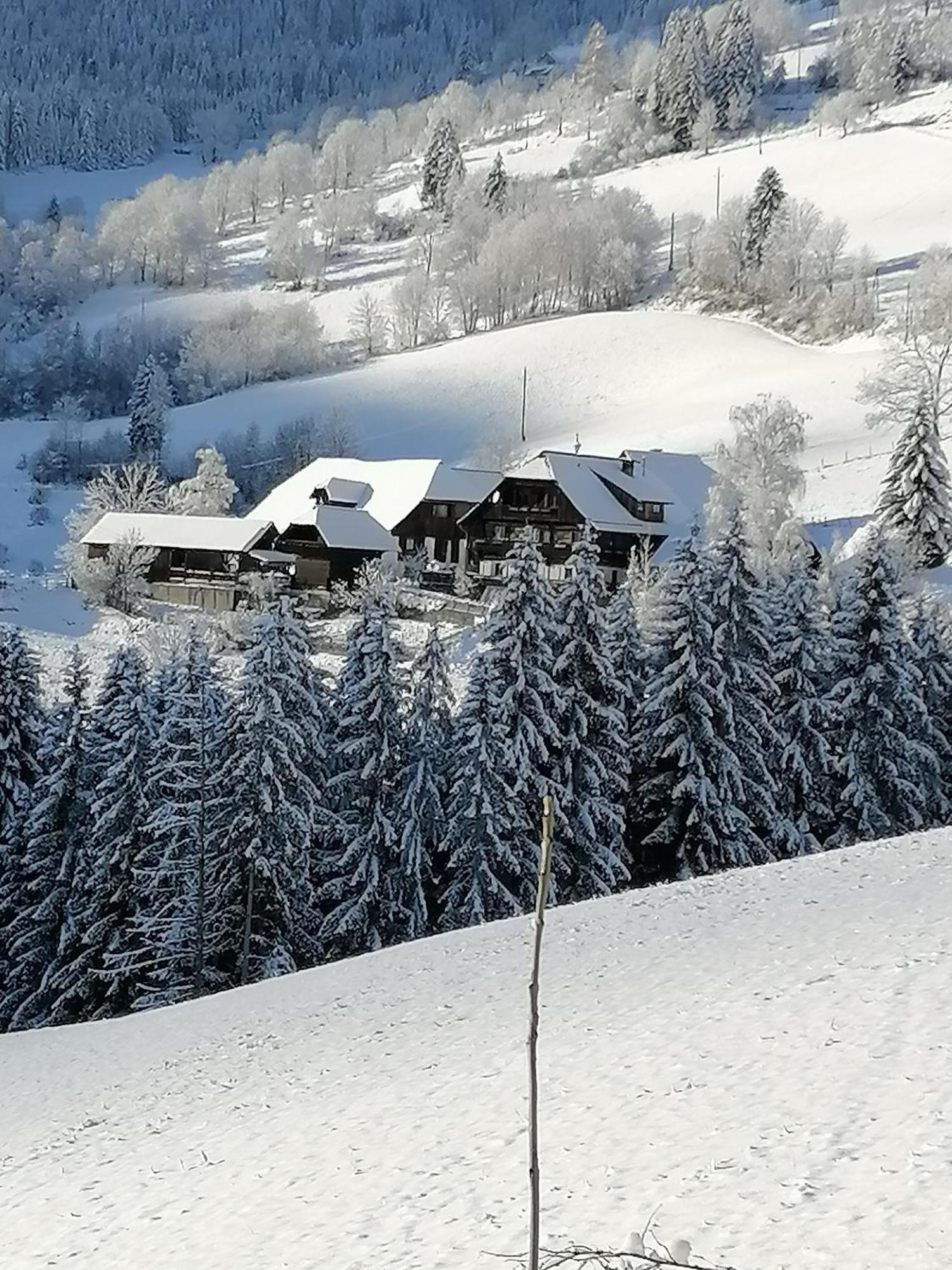 Hotel Surtmannhof Sirnitz Exterior foto